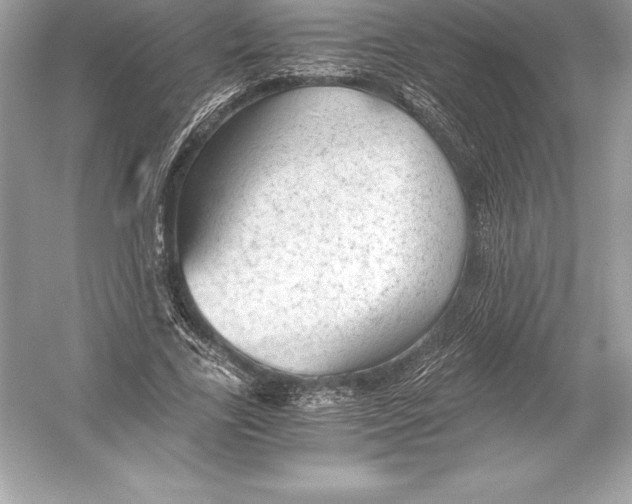 X0000051870731200507221922