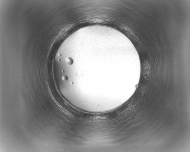 X0000051870734200507221922