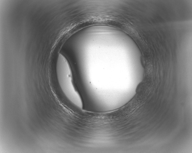 X0000051870736200507221922