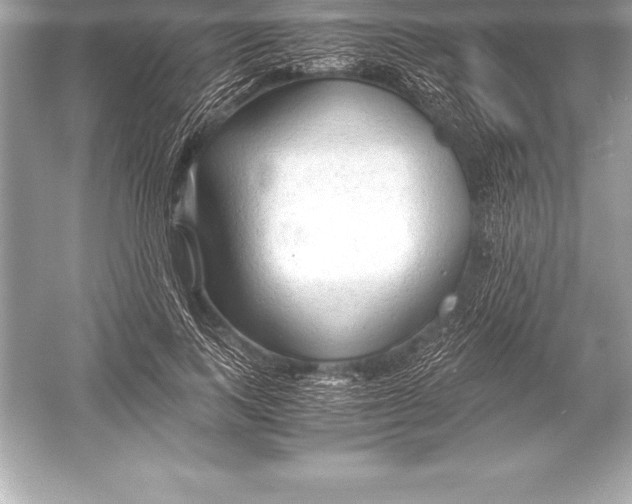 X0000051870743200507221923