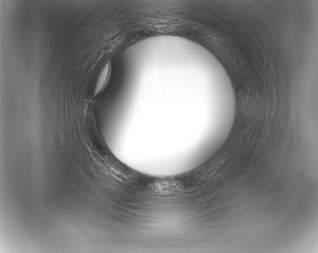 X0000051870752200507221923