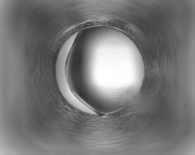 X0000051870773200507221922