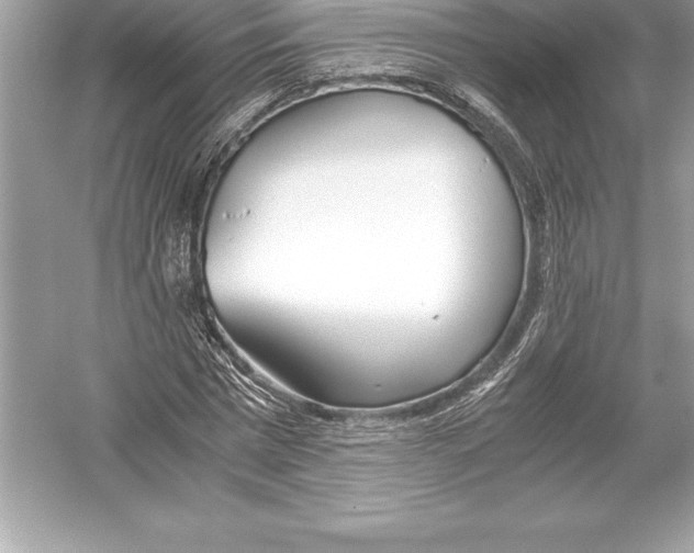 X0000051870777200507221922