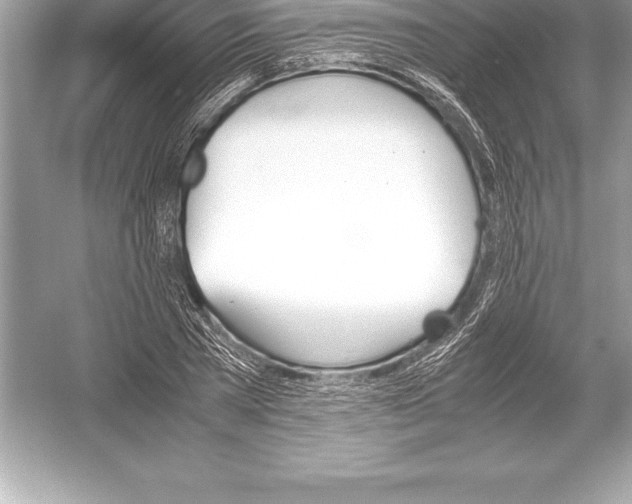 X0000051870785200507221922