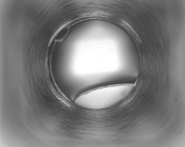 X0000051870788200507221922