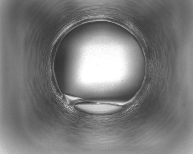 X0000051870789200507221922