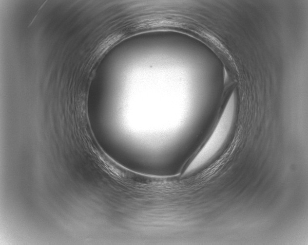 X0000051870793200507221922