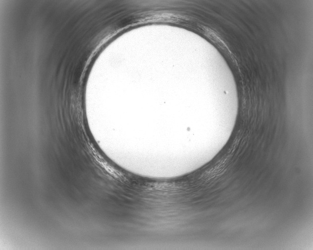 X0000051870800200507221922