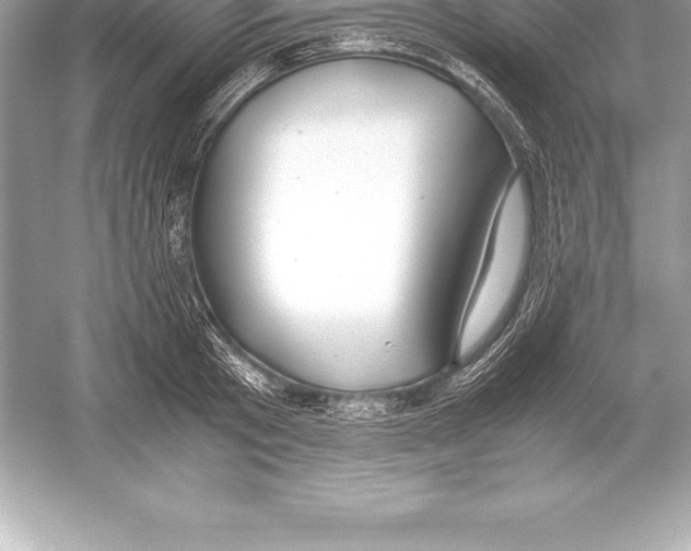 X0000051870801200507221922