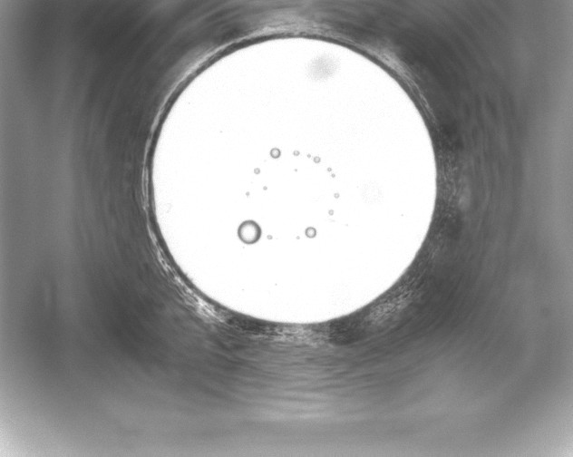 X0000051870807200507221922