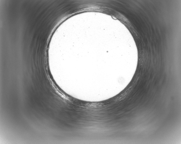 X0000051870808200507221922