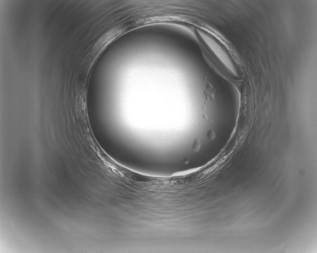 X0000051870809200507221922