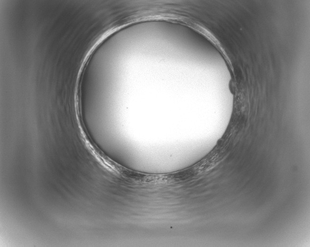 X0000051870811200507221921