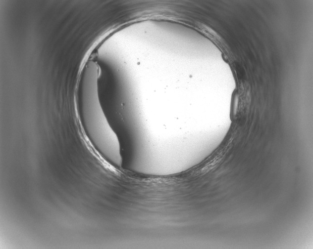 X0000051870812200507221921