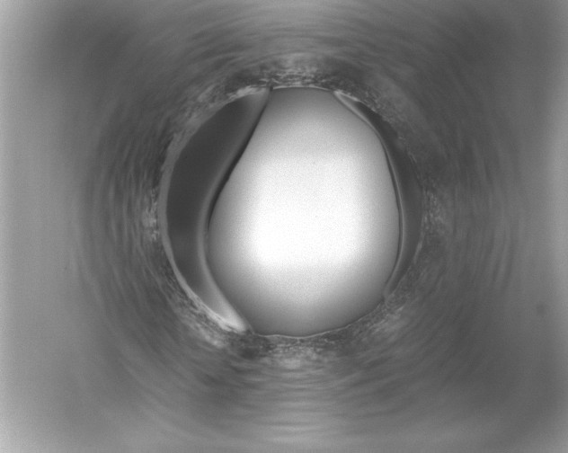 X0000051870818200507221921