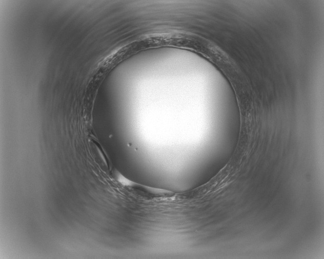 X0000051870822200507221921