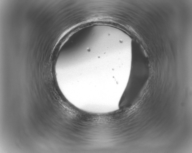 X0000051870830200507221921