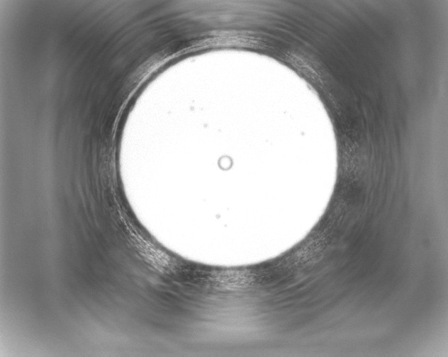 X0000051870836200507221921