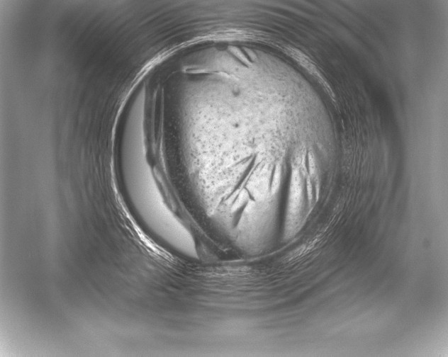 X0000051870845200507221921
