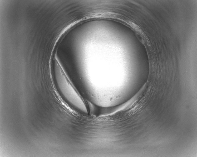 X0000051870846200507221921