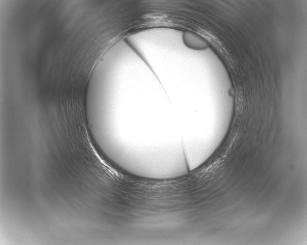 X0000051870849200507221921