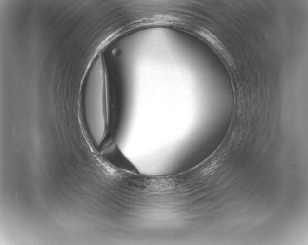 X0000051870850200507221921