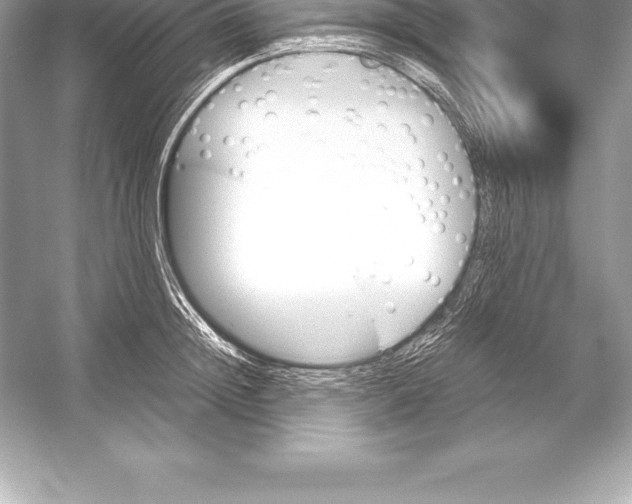 X0000051870852200507221921