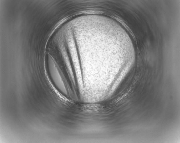 X0000051870853200507221921