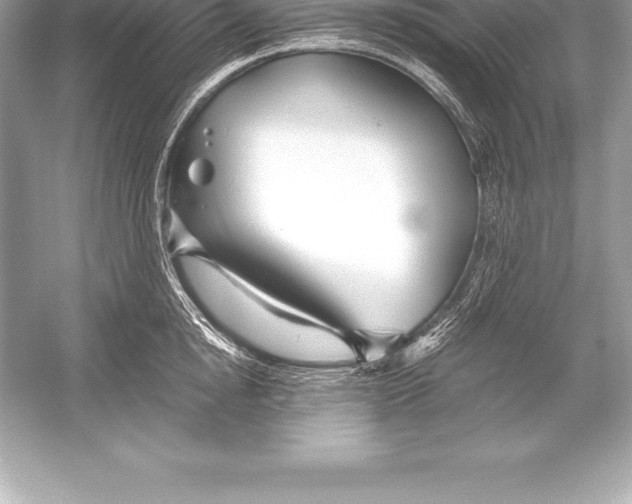 X0000051870854200507221921
