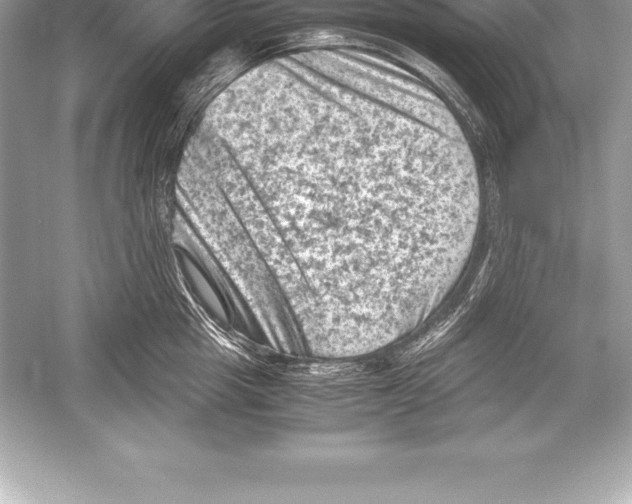 X0000051870857200507221921