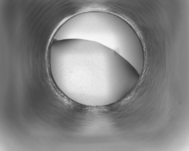 X0000051870864200507221921