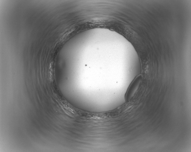 X0000051870868200507221921