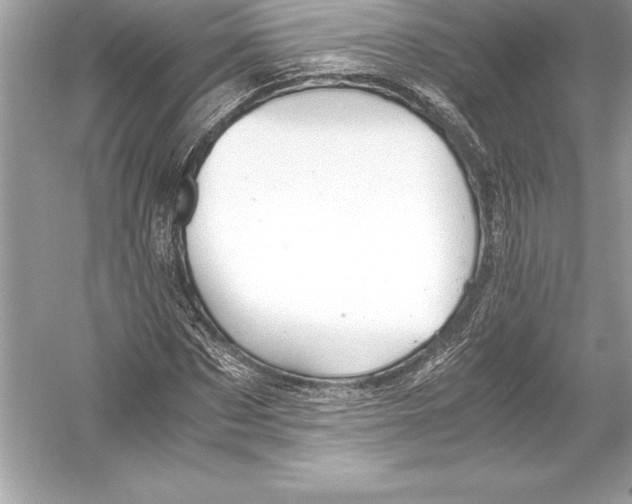 X0000051870873200507221920