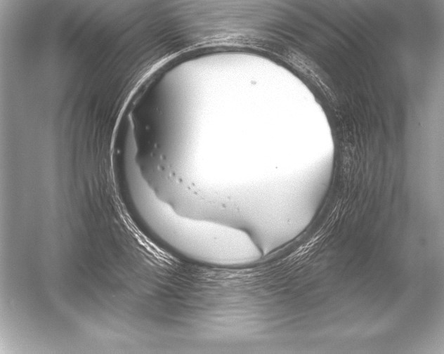 X0000051870884200507221920