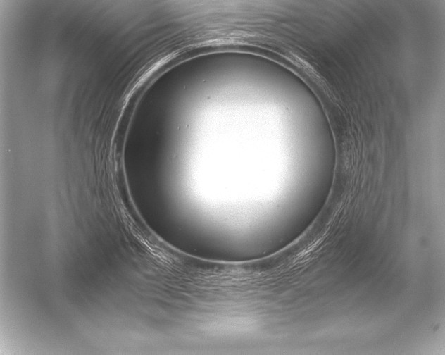 X0000051870885200507221920