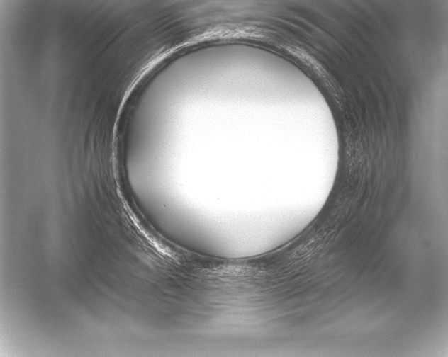X0000051870894200507221920