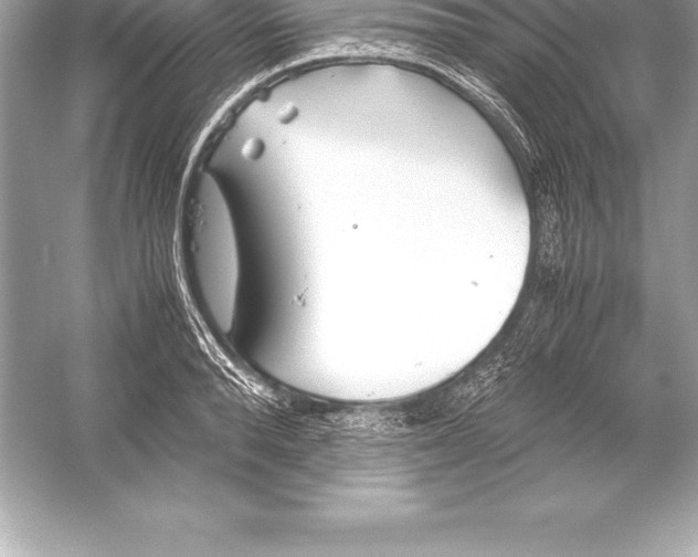 X0000051870896200507221920