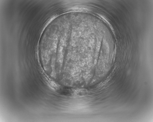 X0000051870899200507221920