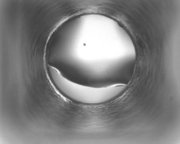 X0000051870902200507221920