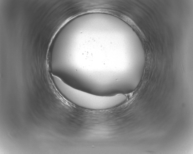 X0000051870908200507221920