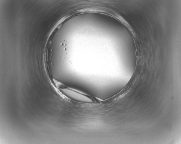 X0000051870909200507221920
