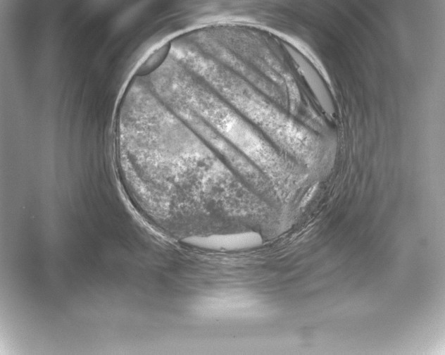 X0000051870911200507221920