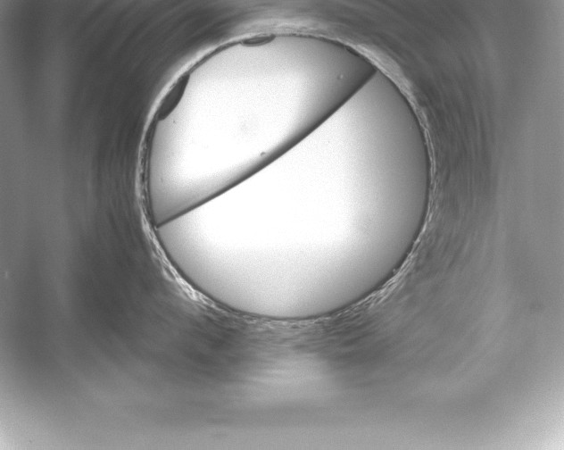 X0000051870912200507221920