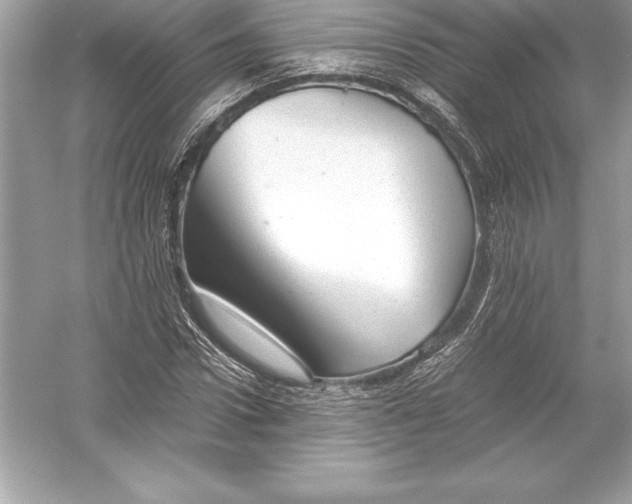 X0000051870922200507221919