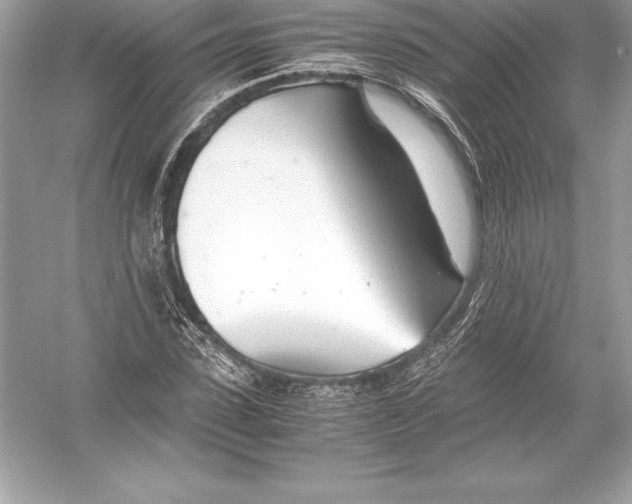 X0000051870923200507221919
