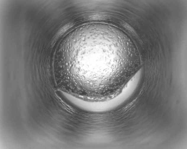 X0000051870930200507221919