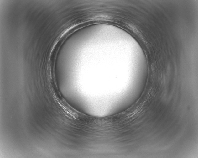 X0000051870931200507221919