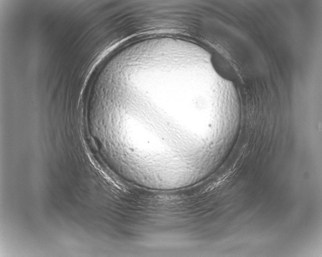 X0000051870933200507221919