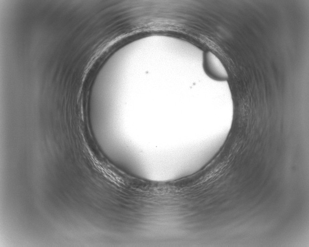 X0000051870934200507221919
