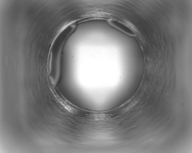 X0000051870940200507221919
